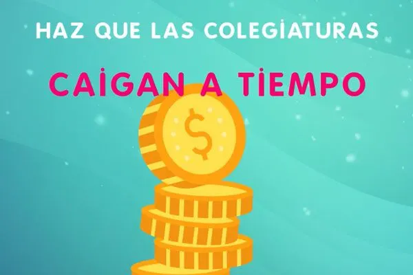 app-escolar-thumb app-escolar-thumb